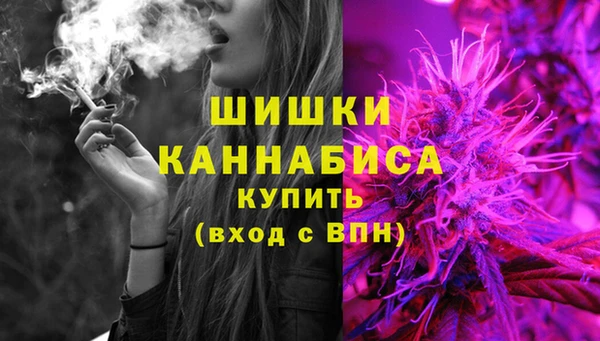 2c-b Мегион