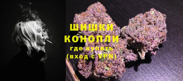 2c-b Мегион
