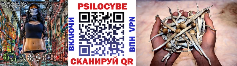 Псилоцибиновые грибы Psilocybine cubensis  закладка  Энем 